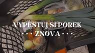 Jak doma vypěstovat pórek