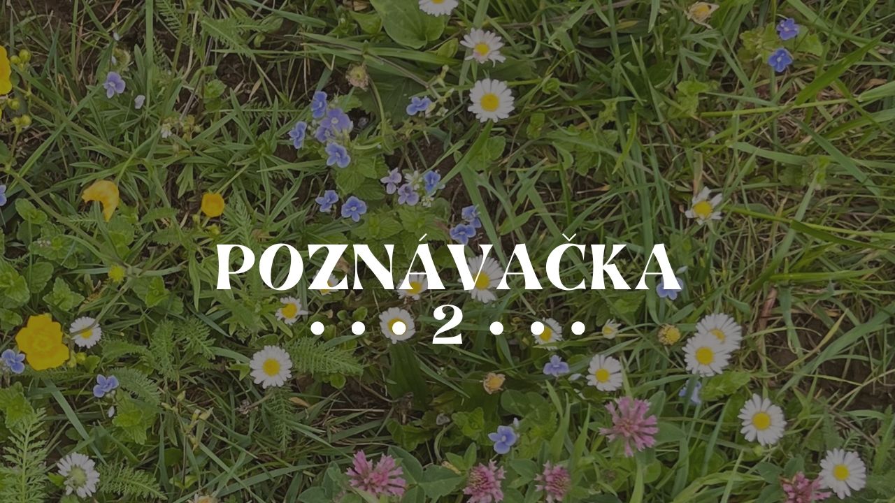 Poznáš všechny naše rostliny? | Stream