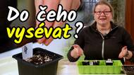 Do jakého substrátu vysévat zeleninu při předpěstování vlastních sazenic?