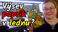 Výsev paprik v lednu? Kdy vyset a kdy ještě počkat