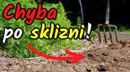 Sklidili jste česnek, cibuli nebo brambory? Tuto chybu nedělejte