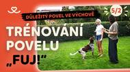 Jak říkat FUJ bez hrozby a naučit psa chodit na vodítku?